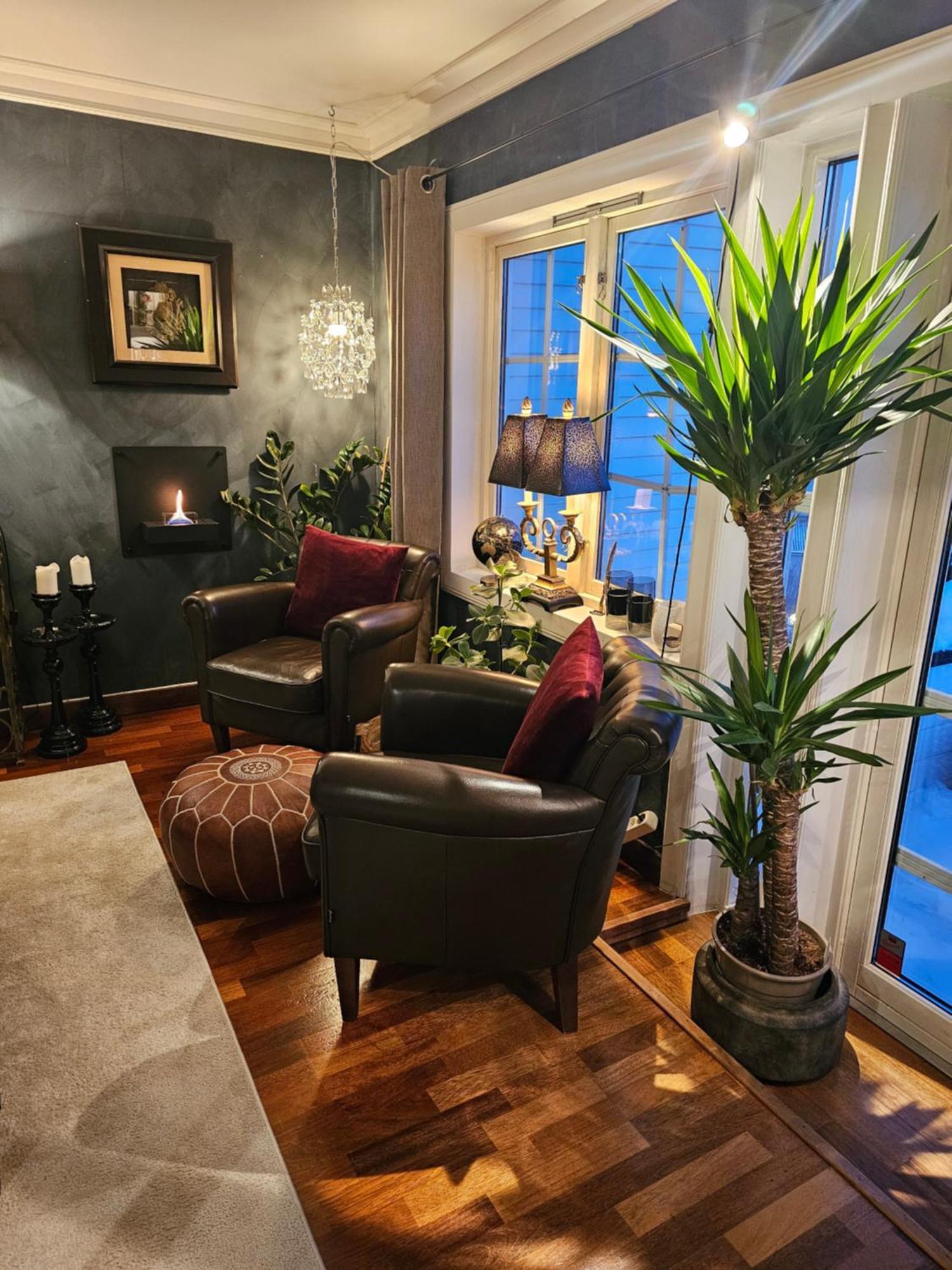 Hoy Standard. Mye For Pengene. Gratis Velkomstgave Narvik Extérieur photo